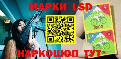 прущие грибы Будённовск