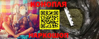прущие грибы Будённовск