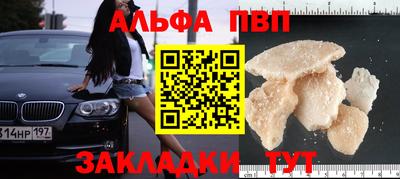 стаф Бузулук