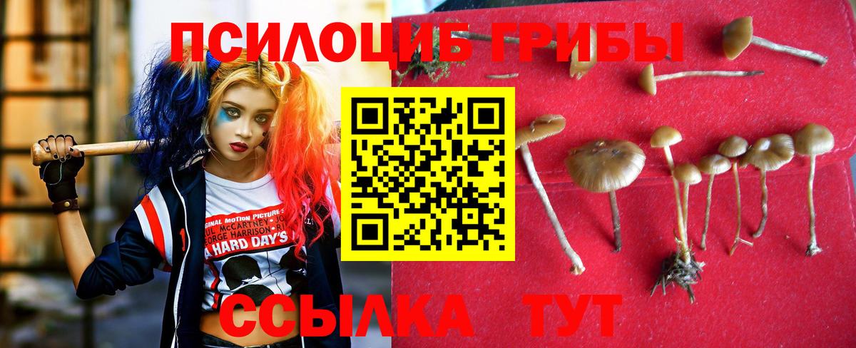 Галлюциногенные грибы ЛСД Моршанск